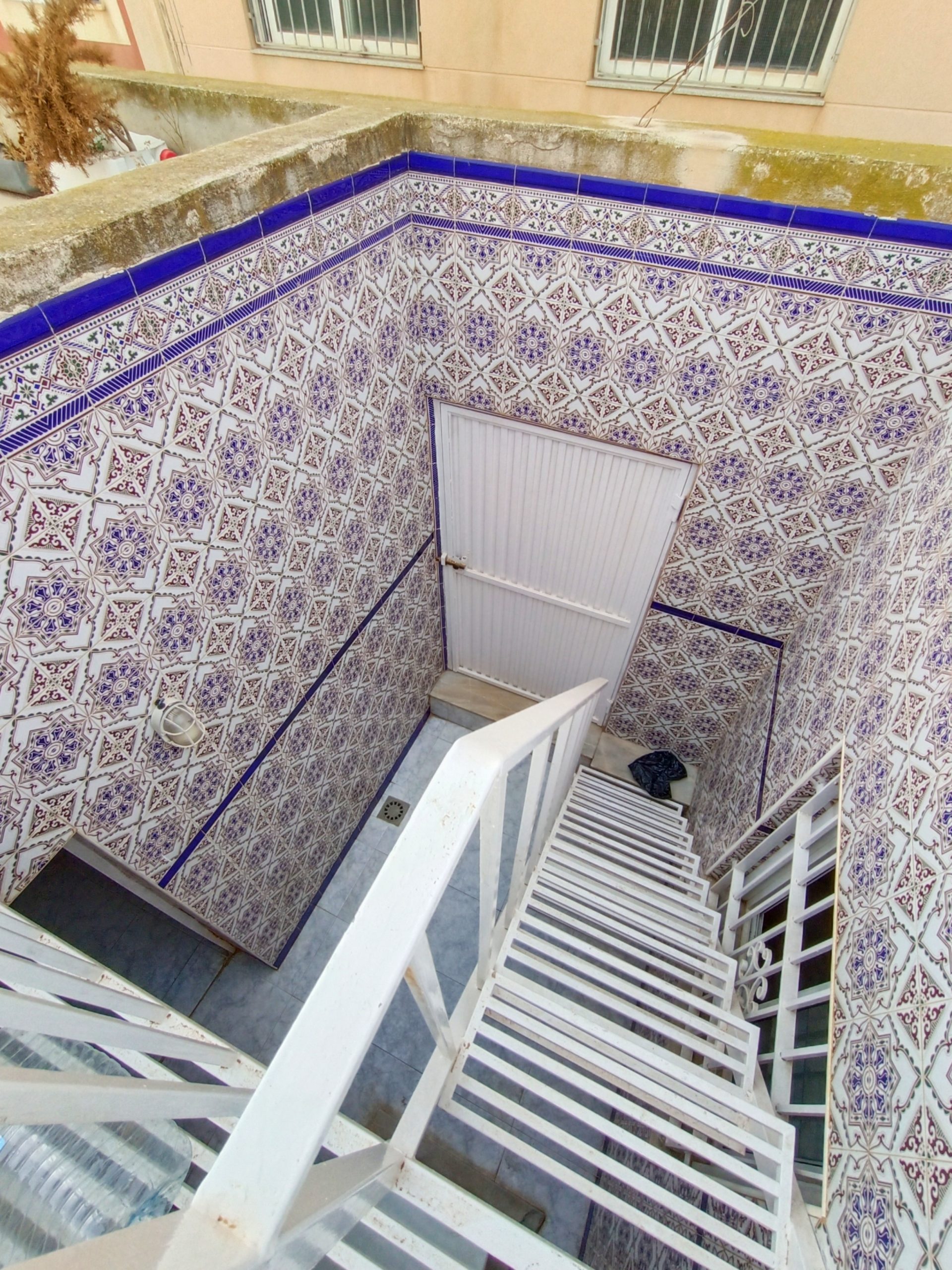 IMG_20231129_204359 IMG_20231129_204359