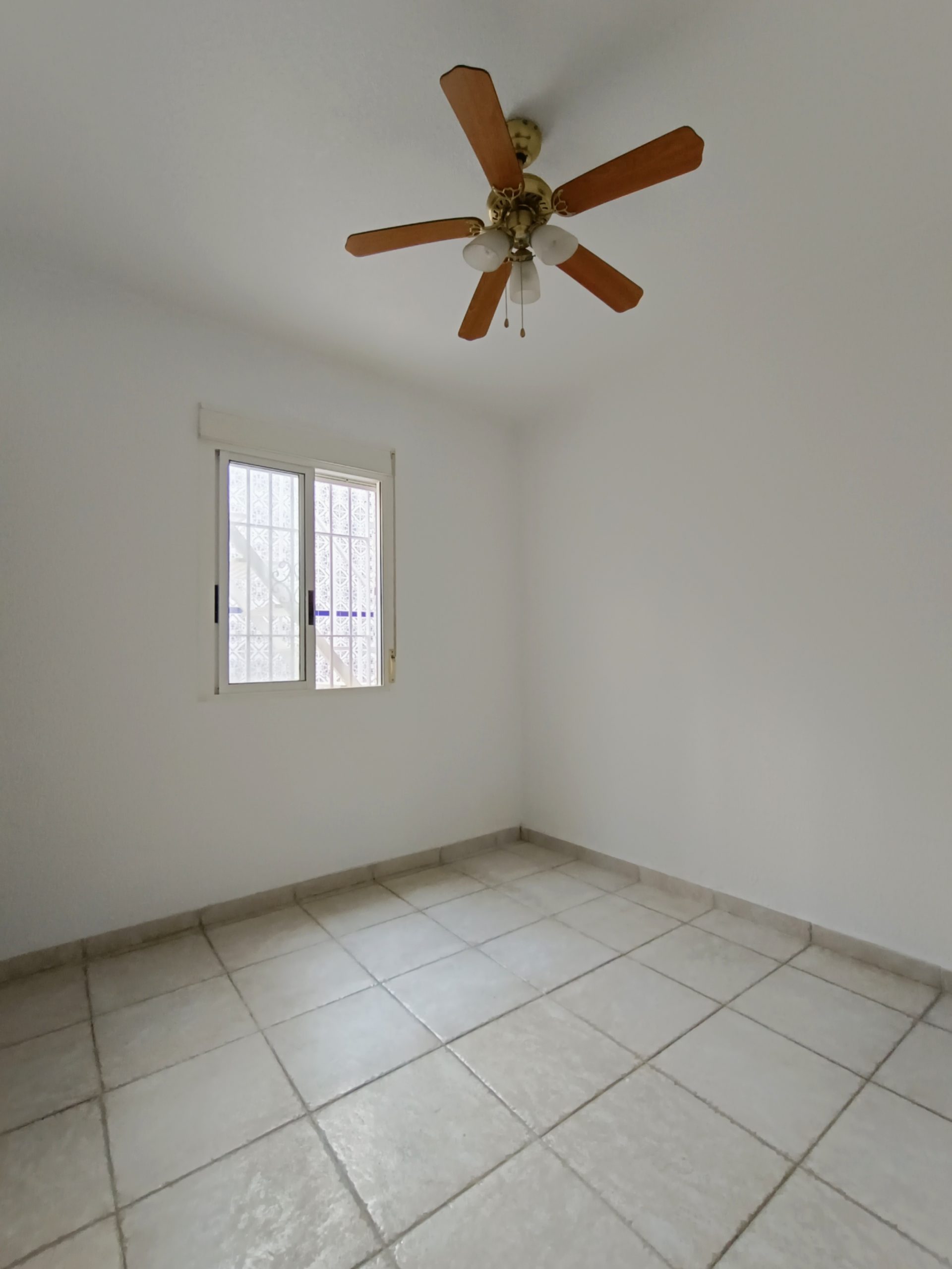 IMG_20231129_205545 IMG_20231129_205545