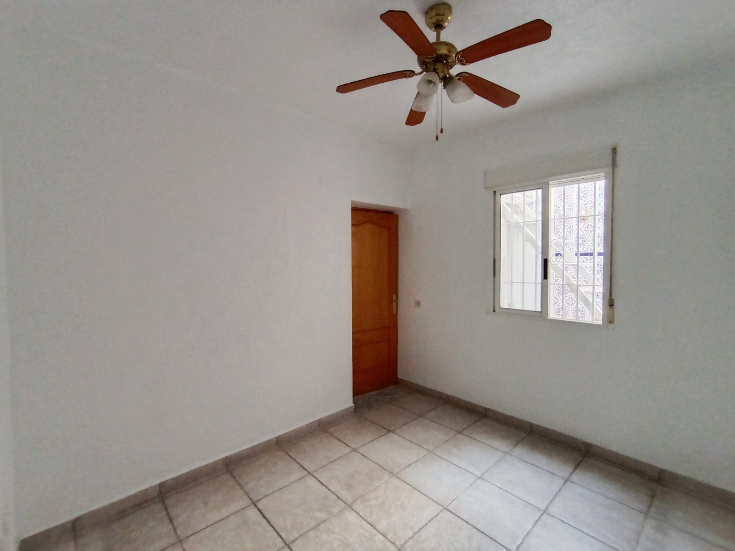 IMG_20231129_205637 IMG_20231129_205637