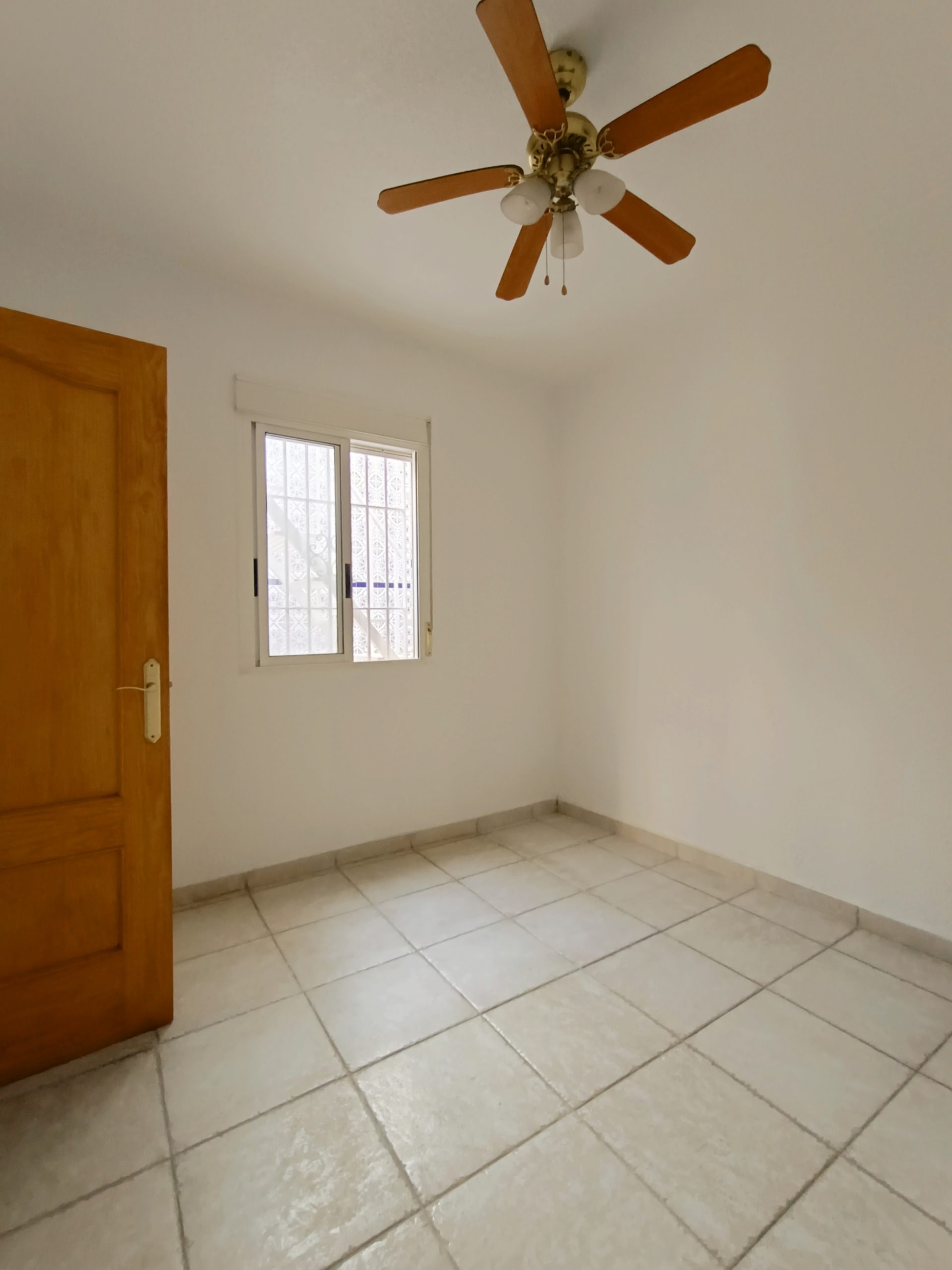 IMG_20231130_204413 IMG_20231130_204413