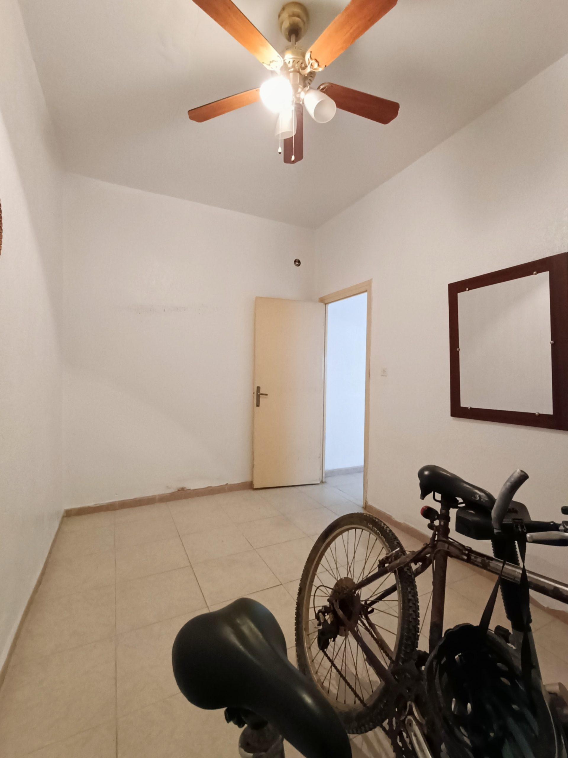 IMG_20231130_204431 IMG_20231130_204431