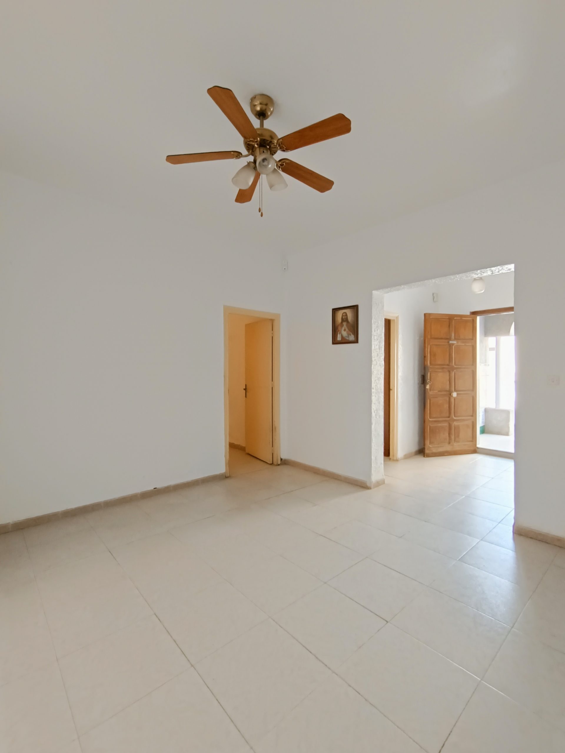 IMG_20231130_204507 IMG_20231130_204507