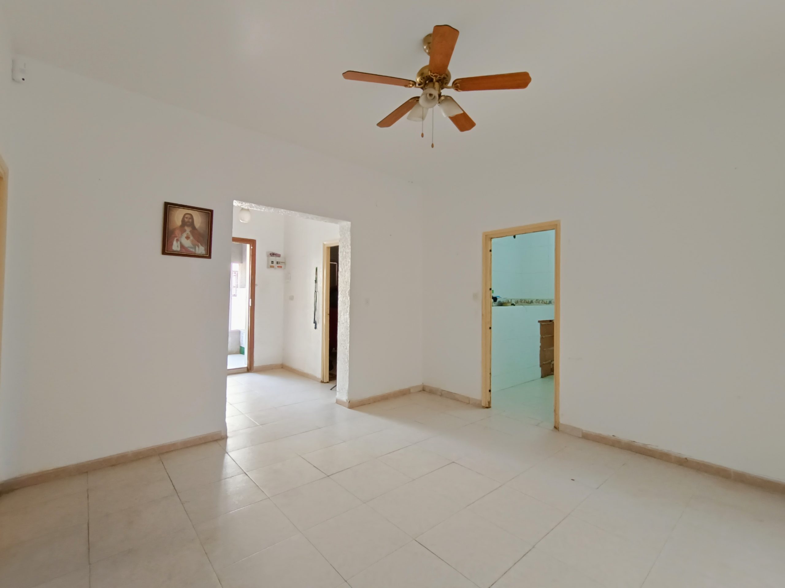 IMG_20231130_204520 IMG_20231130_204520