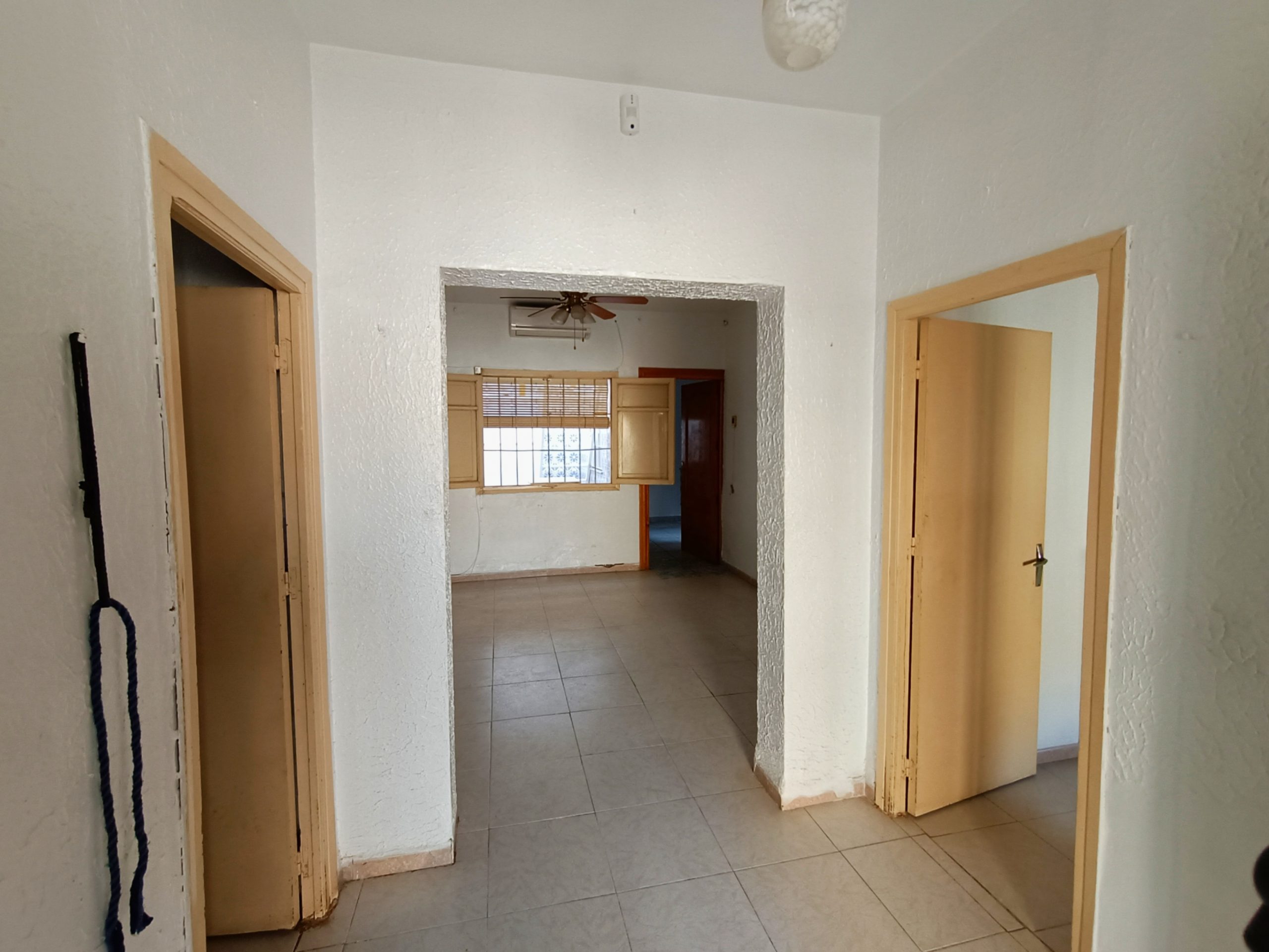 IMG_20231130_204635 IMG_20231130_204635